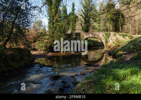 Blither Burn al Valleyfield Woodland Park Foto Stock