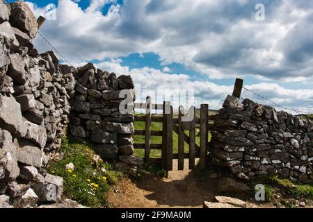 Peters Stone a Cressbrook Dale. Il Derbyshire Peak District. Un laghetto di rugiada sopra Tansley Dale Foto Stock