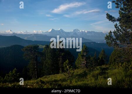 Eindrücklicher Blick auf die grossen 4000er des Berner Oberlands vom Hohgant-Massiv Foto Stock