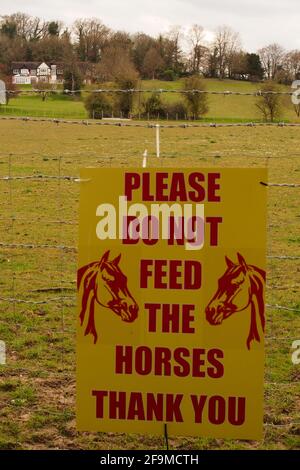 Un segno vicino di prego non alimentare i cavalli grazie, attaccato ad una recinzione di filo con i campi e una proprietà in background Foto Stock