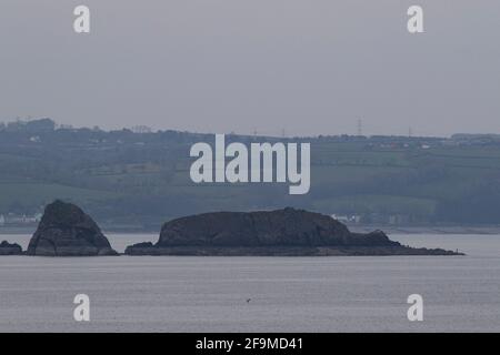 Una vista di Monkstone Point da Tenby, Pembrokeshire, Galles il 19 aprile 2021. Credito: Lewis Mitchell Foto Stock