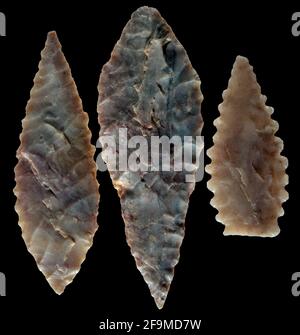 Punti di Arrowhead di selce neolitiche, Sahara deserto Africa Foto Stock