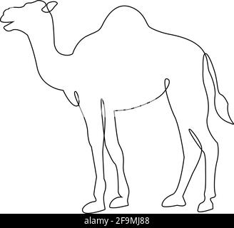 Icona di un cammello minimalista. Tatuaggio animale con disegno a linee. Arabic Camel disegno a mano a una linea stampa continua d'arte, illustrazione vettoriale. Singl. Gratuito Illustrazione Vettoriale
