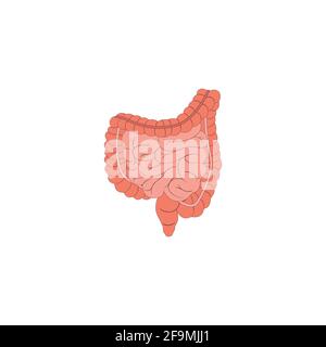 Illustrazione dell'icona dell'intestino umano moderno. Semplice segno intestinale per anatomia umana, medico o concetto sanitario. Simbolo dell'organo intestinale Illustrazione Vettoriale