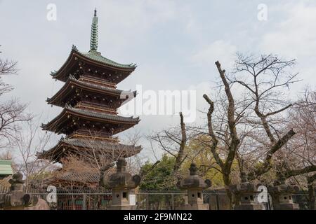 Pagoda al Santuario di Ueno Toshogu nel Parco di Ueno, Tokyo, Giappone. Un santuario dedicato a Tokugawa Ieyasu (1543-1616) costruito nel 1627. Foto Stock
