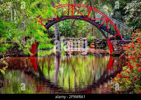 Il Moon Bridge, chiamato anche l'Oriental Bridge, è raffigurato nel giardino asiatico-americano a Bellingrath Gardens a Theodore, Alabama. Foto Stock