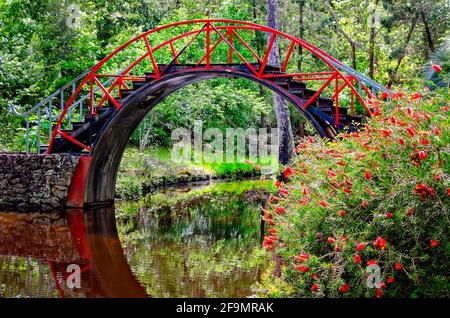 Il Moon Bridge, o Ponte Orientale, è raffigurato nel Giardino Asiatico-Americano a Bellingrath Gardens, 19 aprile 2021, a Theodore, Alabama. Foto Stock