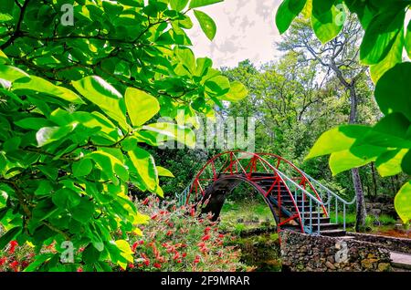 Il Moon Bridge, o Ponte Orientale, è raffigurato nel Giardino Asiatico-Americano a Bellingrath Gardens, 19 aprile 2021, a Theodore, Alabama. Foto Stock