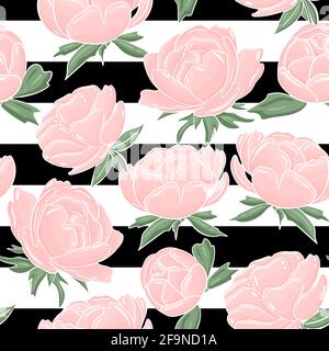 Motivo senza cuciture di delicate peonie rosa su sfondo scuro. Strisce e fiori bianchi e neri. Ripetizione continua per design.Vector. Illustrazione Vettoriale