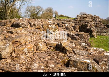 Banks East Turret o torre di osservazione, Hadrians Wall Foto Stock