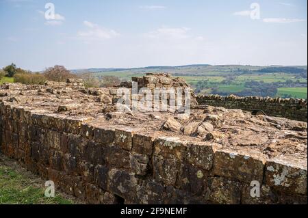 Banks East Turret o torre di osservazione, Hadrians Wall Foto Stock