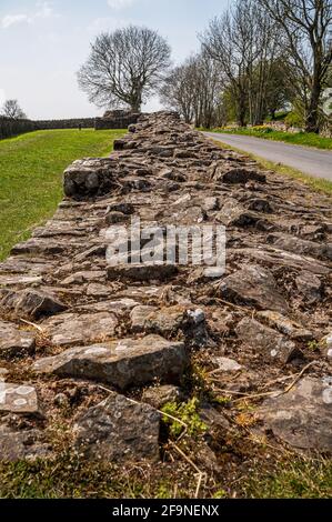 Banks East Turret o torre di osservazione, Hadrians Wall Foto Stock
