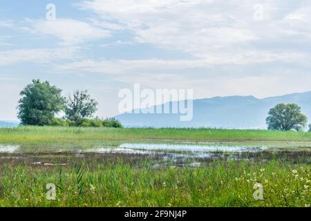Vista di un canale che conduce al bodensee vicino alla città austriaca di Bregenz. Foto Stock