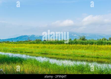 Vista di un canale che conduce al bodensee vicino alla città austriaca di Bregenz. Foto Stock
