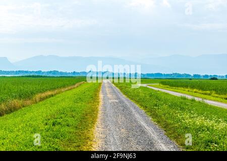 Vista di un sentiero sterrato che conduce tra due campi nei pressi di Bodensee in Austria. Foto Stock