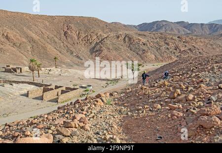 Date palme che crescono in una piccola oasi isolata a. arida valle desertica rocciosa con ciclisti in spedizione Foto Stock