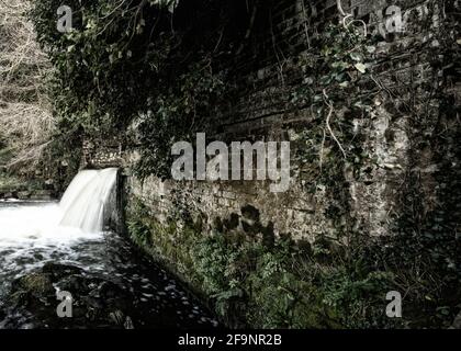 Effusione del fiume Medway, vicino a Tonbridge in Kent, mentre passa attraverso i terreni agricoli Foto Stock