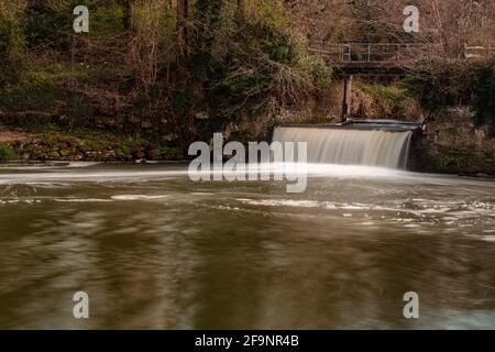 Effusione del fiume Medway, vicino a Tonbridge in Kent, mentre passa attraverso i terreni agricoli Foto Stock