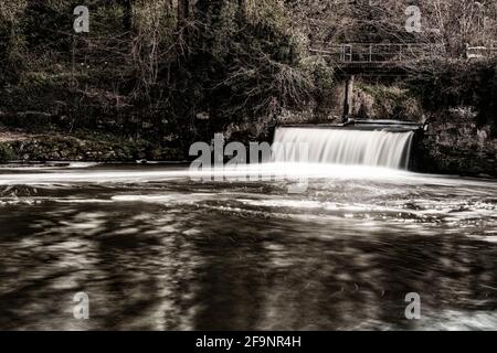 Effusione del fiume Medway, vicino a Tonbridge in Kent, mentre passa attraverso i terreni agricoli Foto Stock