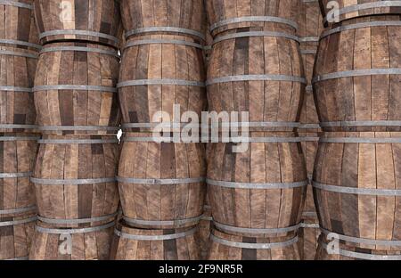 Botti di vino in legno. Rendering 3D Foto Stock