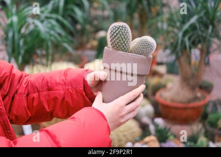 Un uomo tiene i cactus nelle sue mani per l'acquisto dentro un negozio Foto Stock