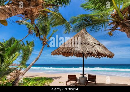 Palme Coco nel paradiso tropicale spiaggia Sunny e ombrellone in isola esotica. Foto Stock