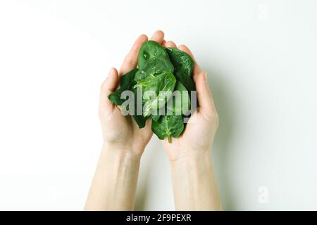 Le mani femminili tengono le foglie di spinaci su sfondo bianco Foto Stock