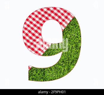 Digital Number 9 - Tovaglia picnic sull'erba Foto Stock