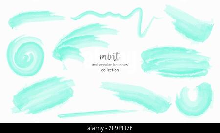 Collezione di pennelli acquerelli Mint. Set di pennellate. Illustrazione vettoriale Illustrazione Vettoriale