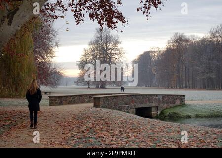 18.11.2018, Neuhardenberg, Brandeburgo, Germania - Donna fare una passeggiata nel parco del castello. 00S181118D448CAROEX.JPG [RELEASE MODELLO: SÌ, RELEAS PROPRIETÀ Foto Stock