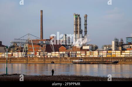 24.03.2021, Leverkusen, Renania Settentrionale-Vestfalia, Germania - Bayer Chempark Leverkusen, sito sul Reno, un terzo dell'intera produzione chimica in Foto Stock