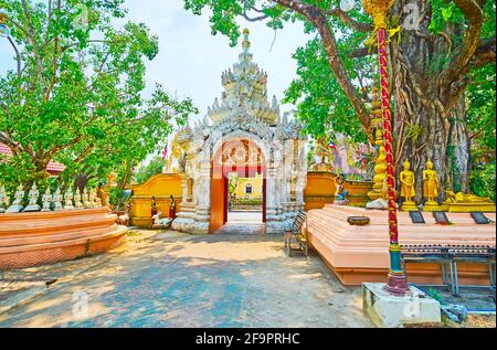 Il sacro albero Bodhi e la porta bianca del tempio di Wat Phra Singh, decorato con sculture e stampaggio, Chiang Rai, Thailandia Foto Stock