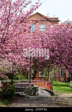 Faro di speranza in primavera, Manchester Foto Stock