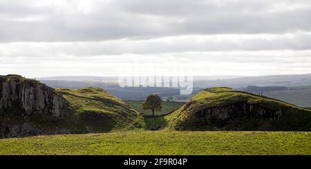 Sycamore Gap sul Muro di Adriano in Northumberland, Inghilterra. L'antico monumento fa parte delle frontiere dell'Impero Romano Patrimonio dell'Umanità dell'UNESCO Sit Foto Stock