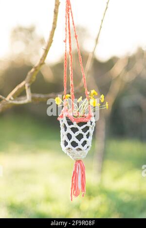 Pentola di macrame fatta a mano con margherita Foto Stock