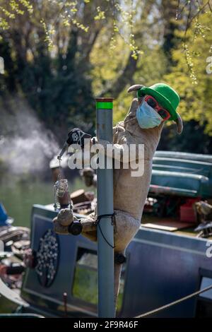 Un cane giocattolo imbottito è stato legato ad un palo accanto ad una casa galleggiante. Indossa una maschera facciale, occhiali da sole e un cappello verde. Foto Stock