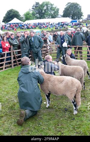 Gli agricoltori di Muker mostrano a Swalledale pecore. Yorkshire Dales National Park, 2009. Foto Stock