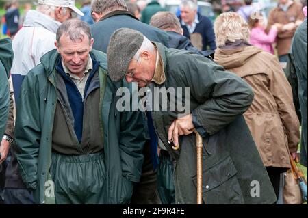 Gli agricoltori di Muker mostrano a Swalledale pecore. Yorkshire Dales National Park, 2009. Foto Stock