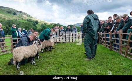 Gli agricoltori di Muker mostrano a Swalledale pecore. Yorkshire Dales National Park, 2009. Foto Stock