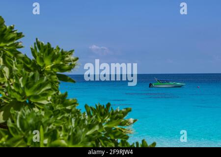 Motoscafo ancorato alla spiaggia delle isole Similan in Thailandia Foto Stock