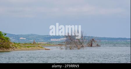 Estuario del fiume Ropotamo e il Mar Nero in Bulgaria. Le barche turistiche spesso raggiungono questo punto durante la loro crociera sul fiume. Foto Stock