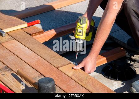 IPE legno terrazzo costruzione ponte, mestieri esperto lavoratore con un cacciavite di potenza e attrezzi carpentiere che installano un ponte, pavimentazione in legno Foto Stock