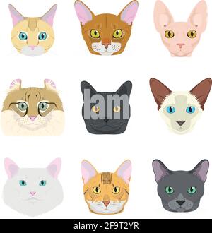 Cat Breeds Vector Collection: Set di 9 diverse razze di gatti in stile cartoon. Illustrazione Vettoriale