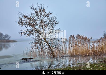 Misty autunno fiume paesaggio Foto Stock