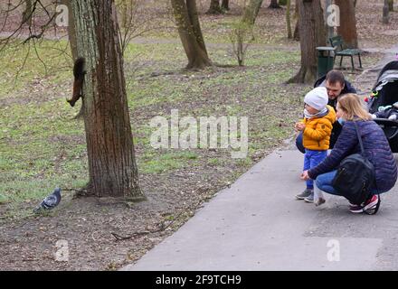 Cracovia. Cracovia. Polonia. Il ragazzino con i genitori guarda lo scoiattolo sulla corteccia dell'albero. Foto Stock