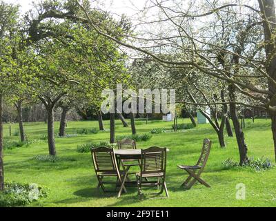 Vista del giardino Bedfordshire di Kathy Brown in un giorno aperto Nel mese di aprile 2021 Foto Stock