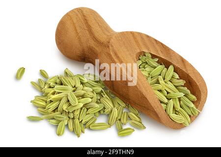 Semi di finocchio essiccati in paletta di legno isolata su sfondo bianco con tracciato di ritaglio e profondità di campo completa Foto Stock