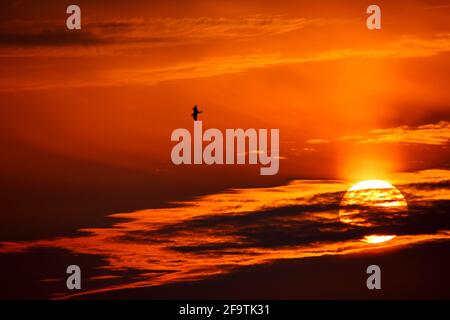 Morecambe, Lancashire, Regno Unito. 20 Apr 2021. Sunset over Morecambe Bay Credit: PN News/Alamy Live News Foto Stock