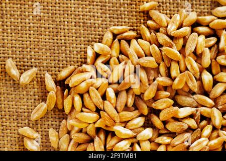 Grani marroni di farro su fondo di stoffa marrone, farro noto anche come grano di dinkel o grano sgranato Foto Stock