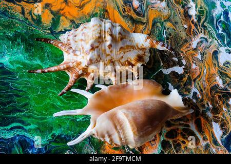 Conchiglie su uno sfondo luminoso. Versamenti acrilici Foto Stock